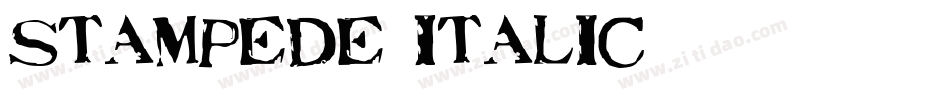 Stampede Italic字体转换